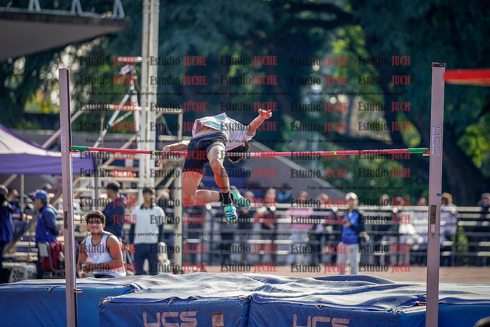 Fotos del salto en alto de varones