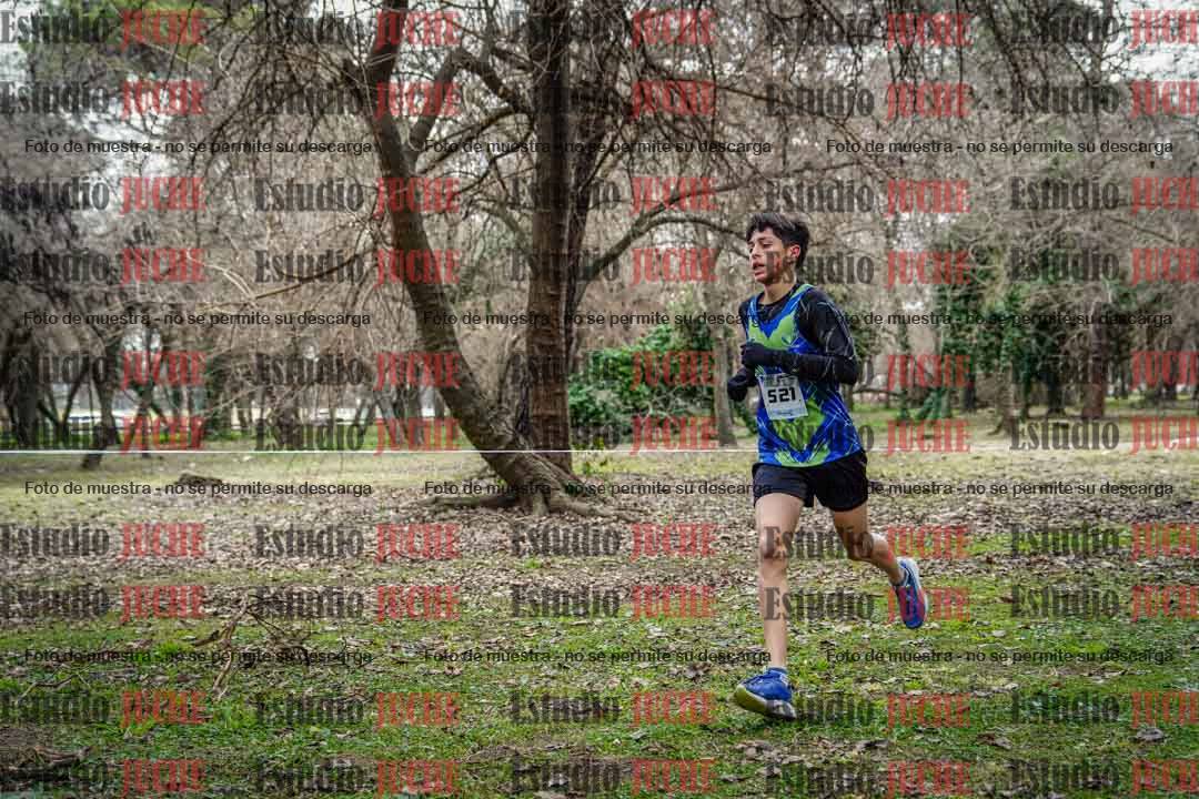Fotos en el circuito