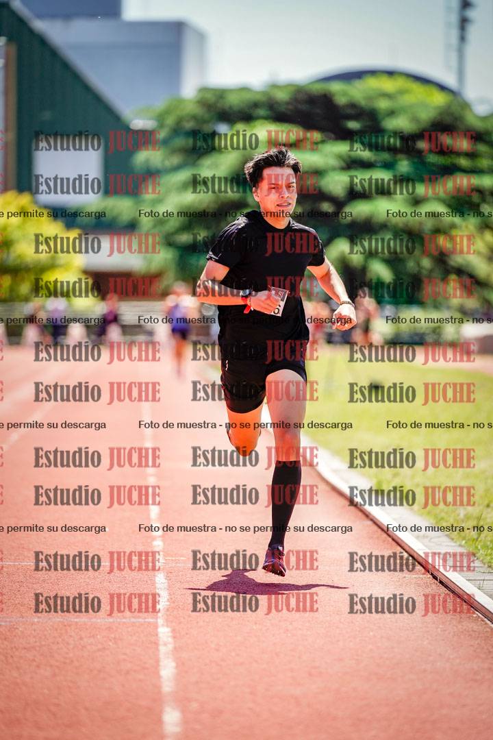 Fotos de los 800 m llanos de varones