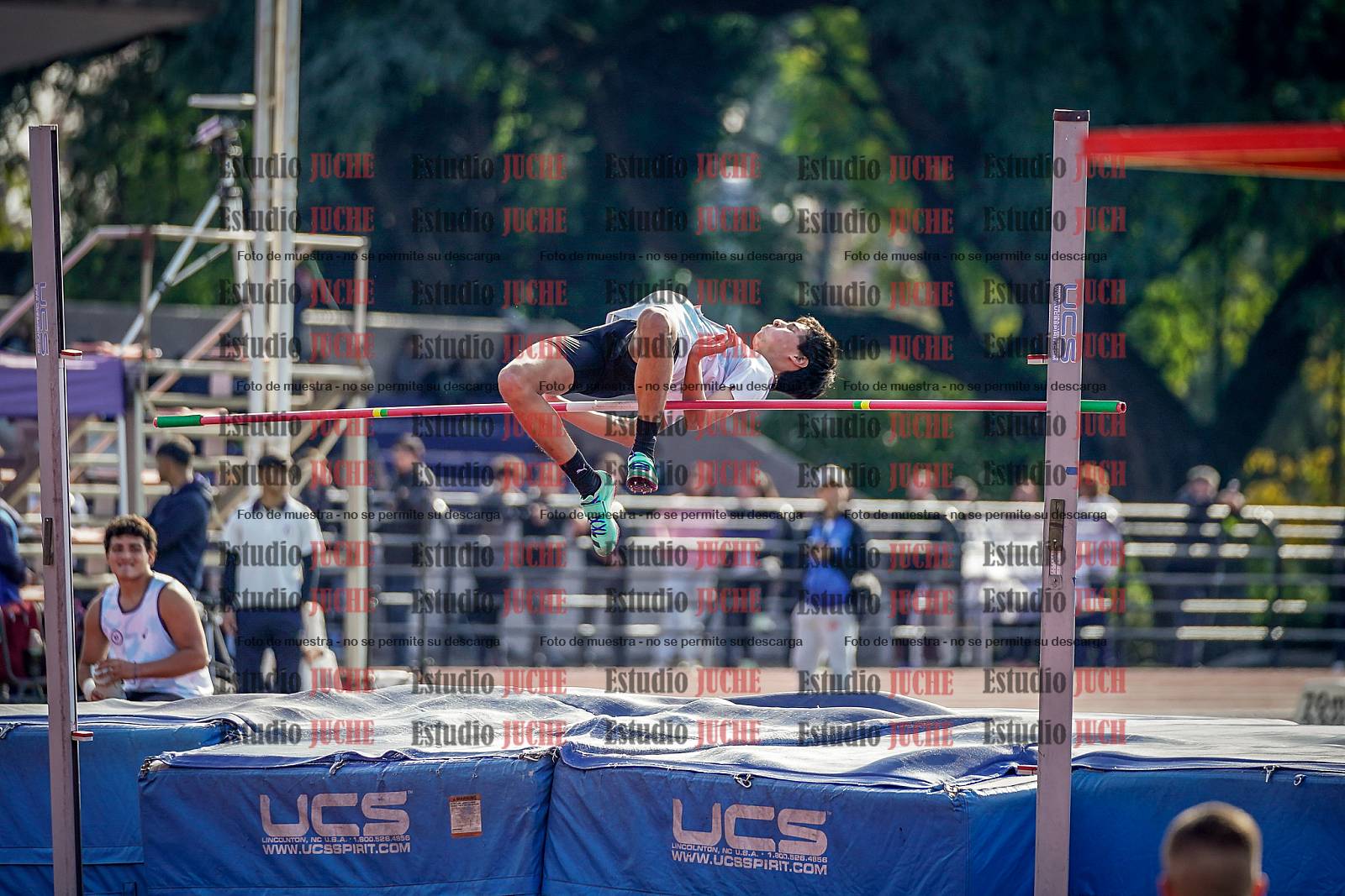 Fotos del salto en alto de varones