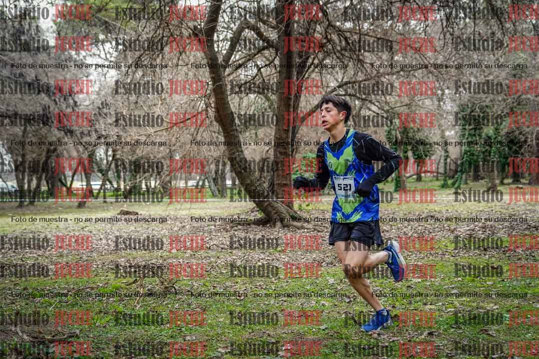 Fotos en el circuito