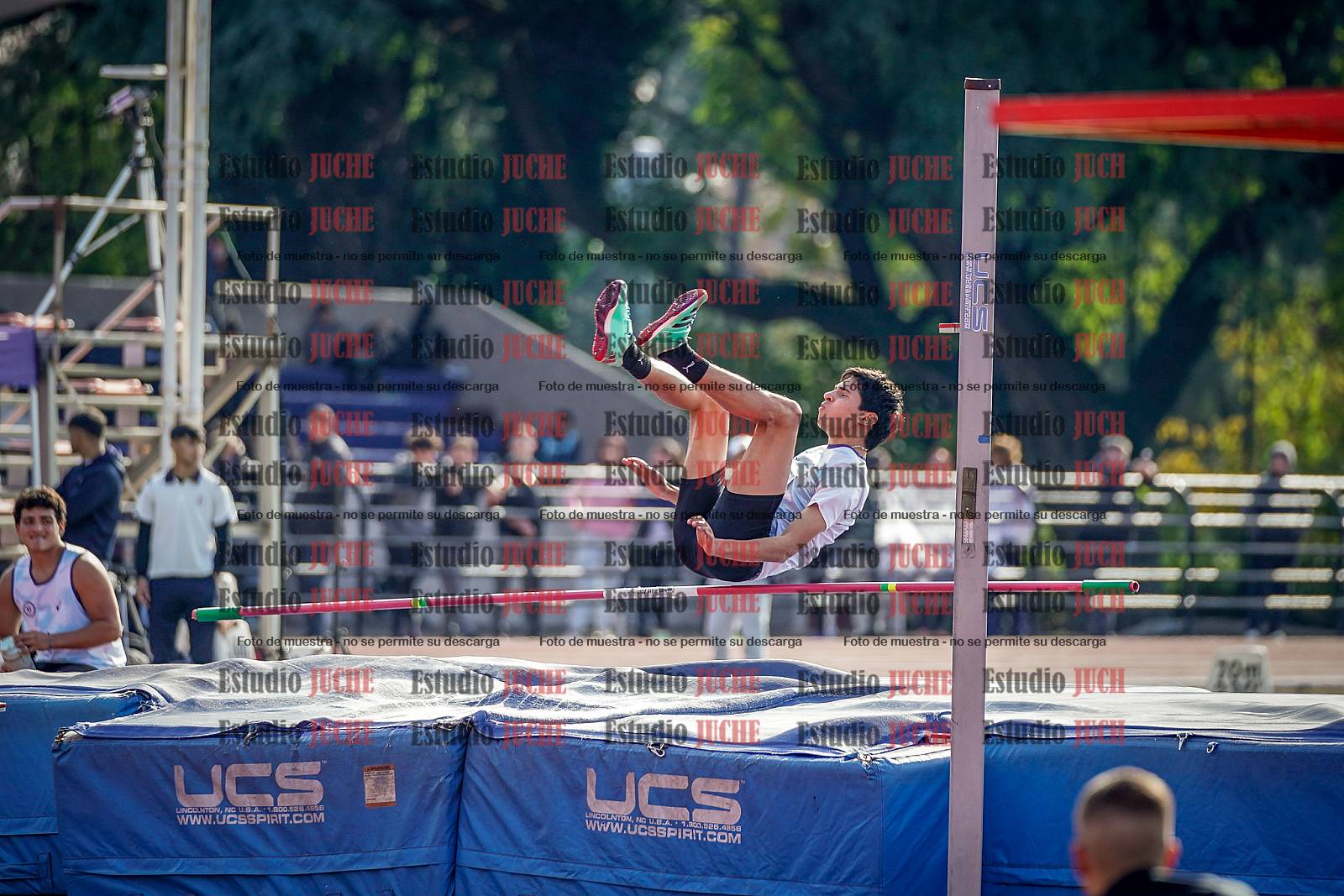 Fotos del salto en alto de varones