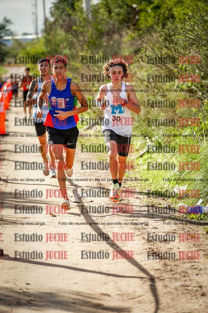 Fotos en el circuito