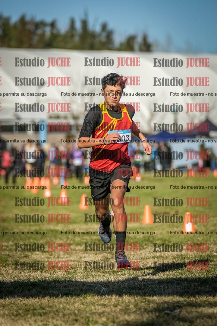 Fotos de las llegadas
