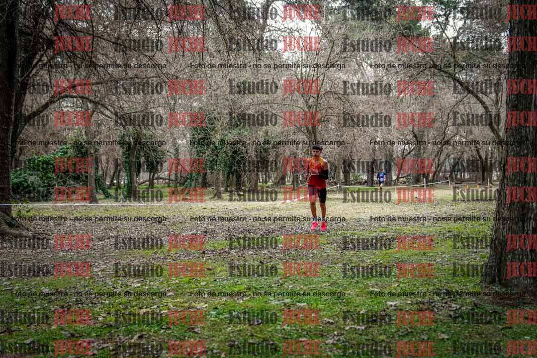 Fotos en el circuito