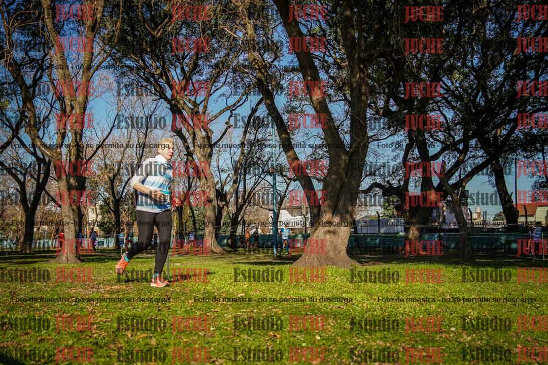 Fotos en el circuito
