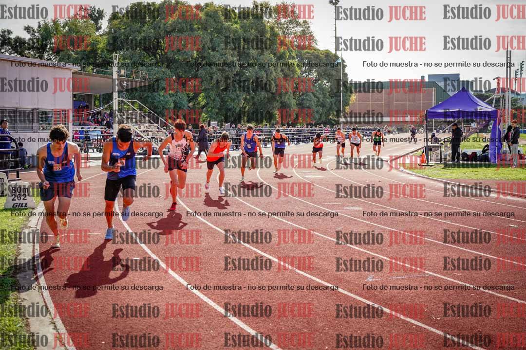 Fotos de los 800 m llanos de varones