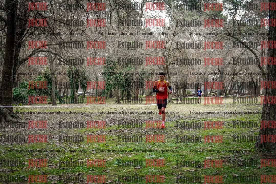 Fotos en el circuito