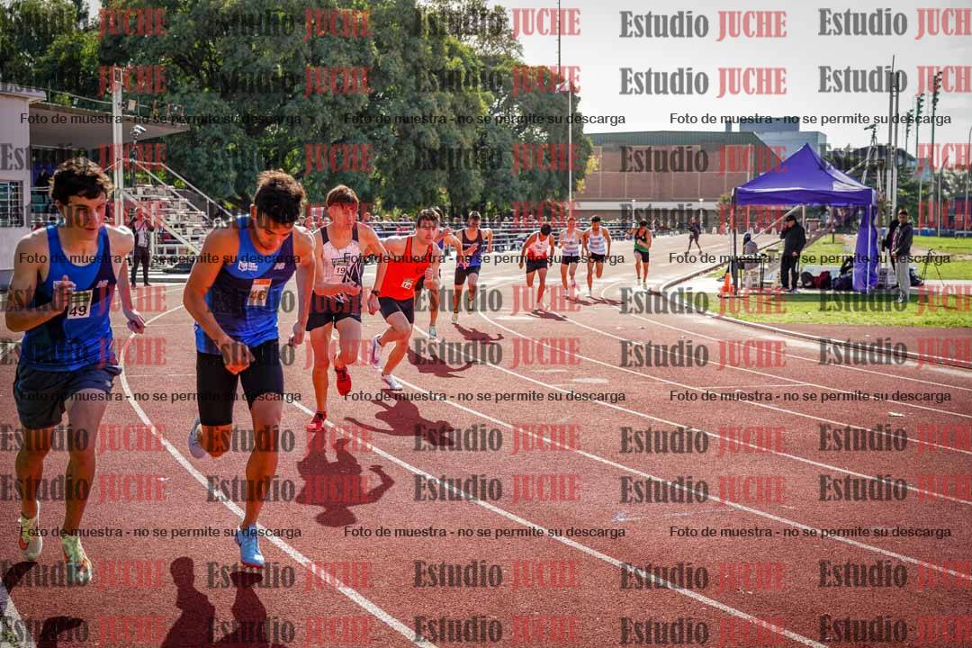 Fotos de los 800 m llanos de varones