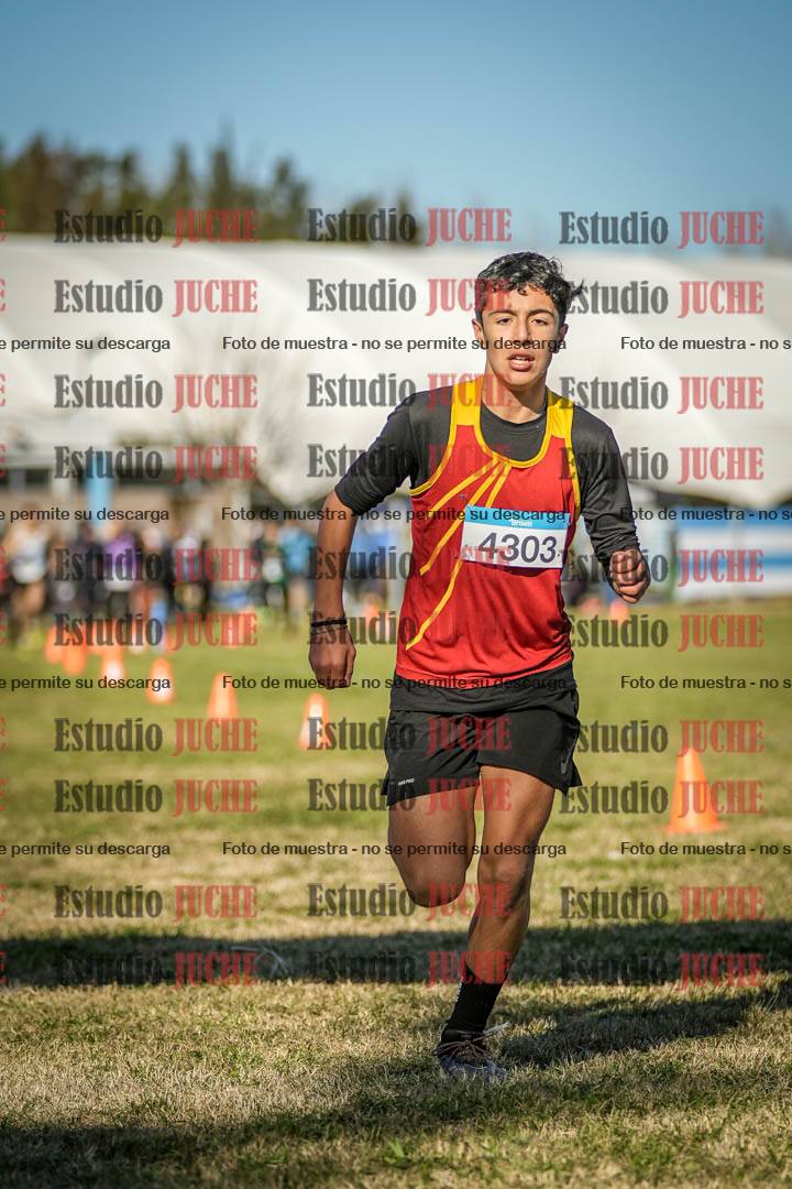 Fotos de las llegadas