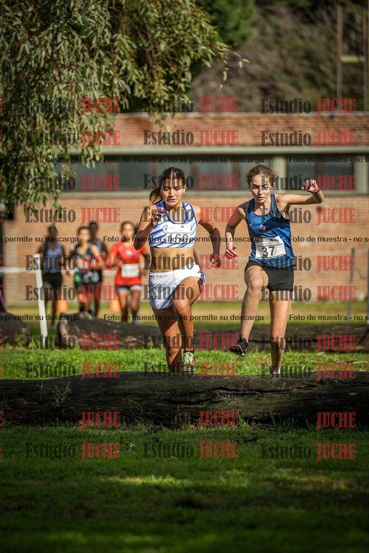 Fotos en el circuito