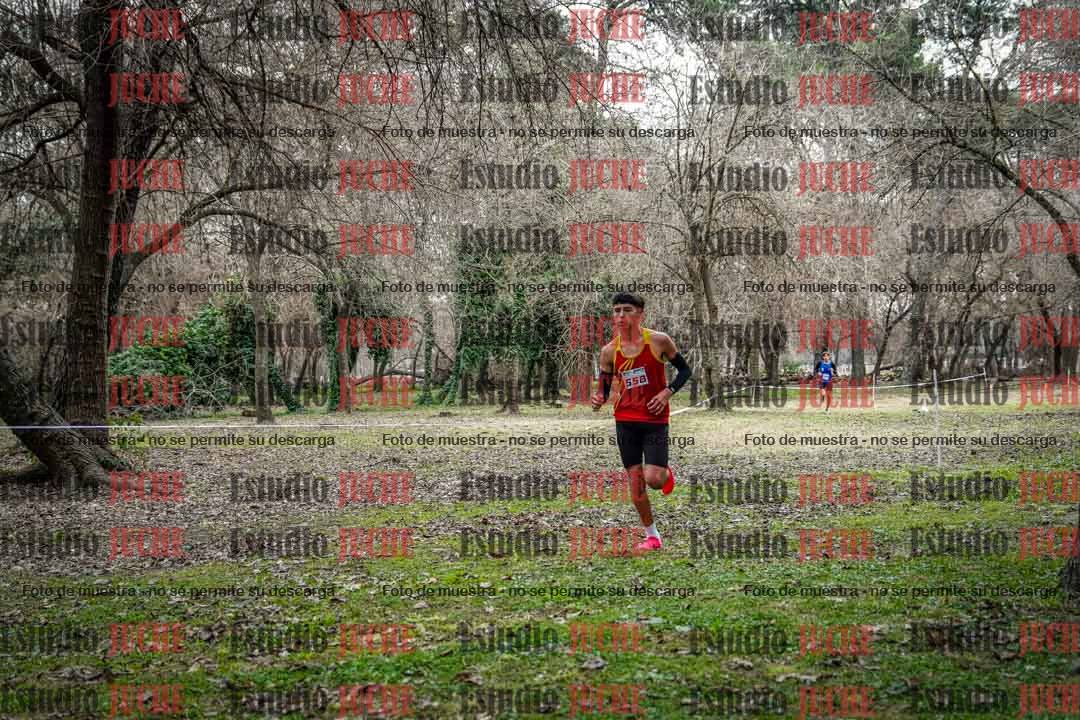 Fotos en el circuito