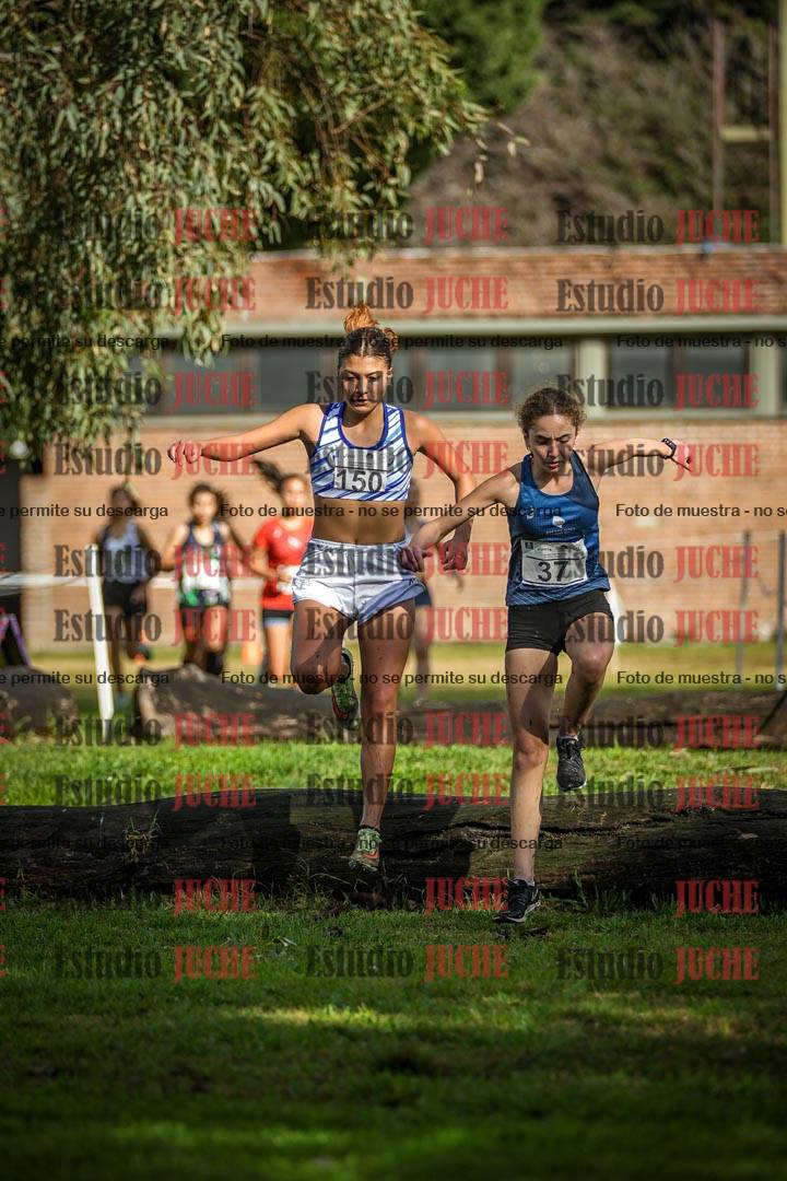 Fotos en el circuito
