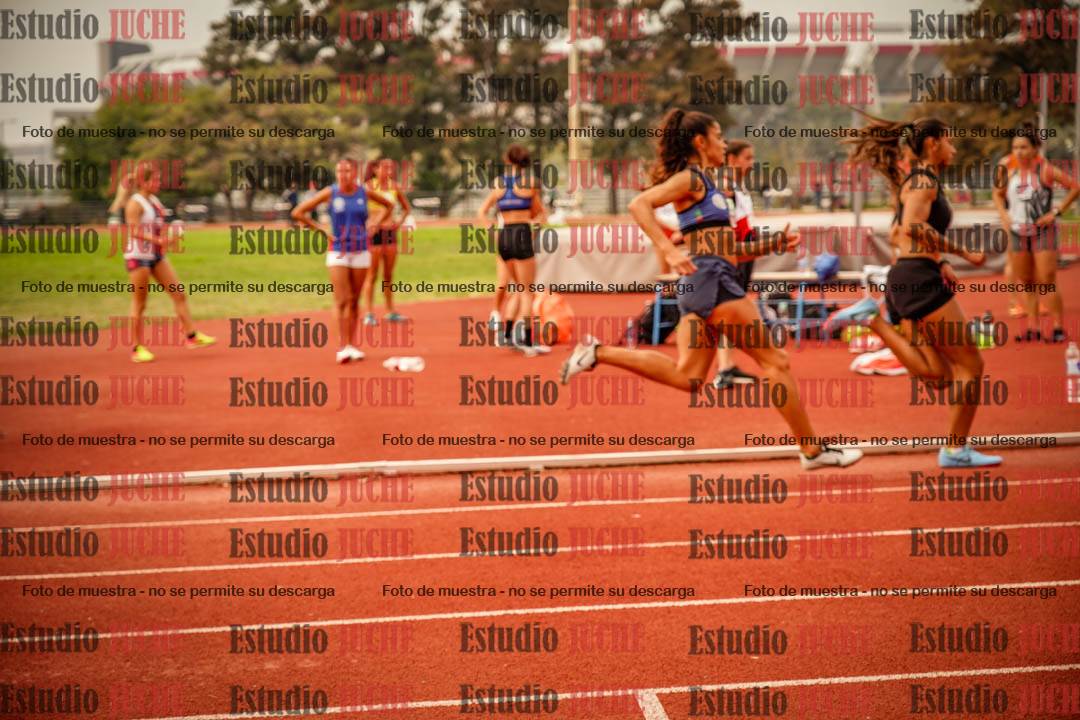 Fotos de los 800 m llanos de mujeres