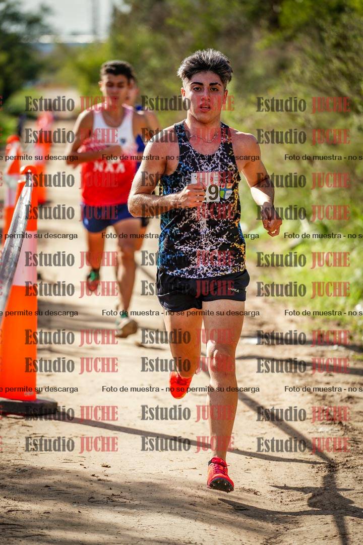 Fotos en el circuito