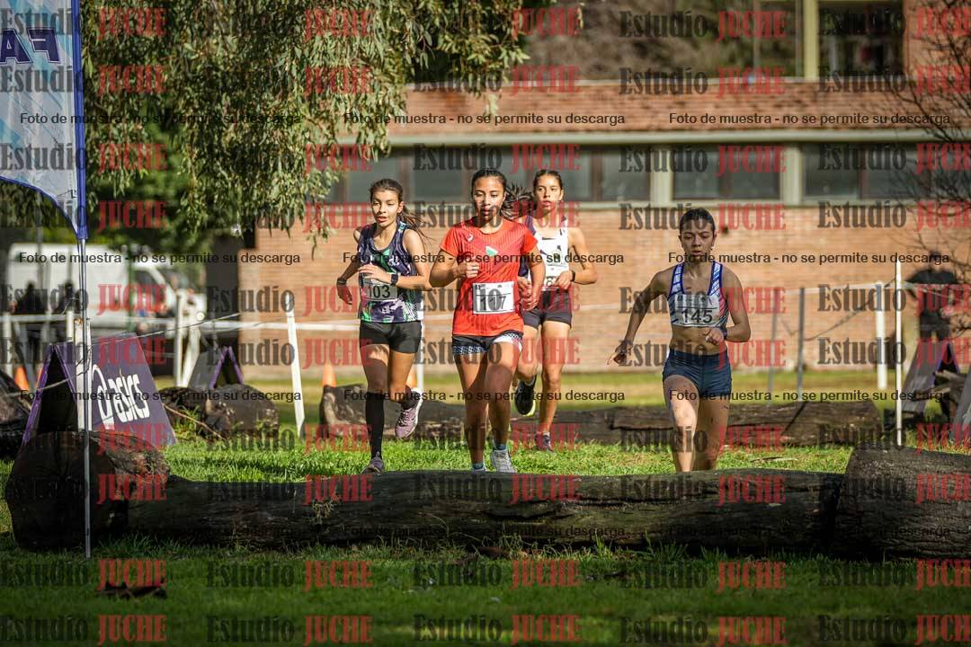 Fotos en el circuito