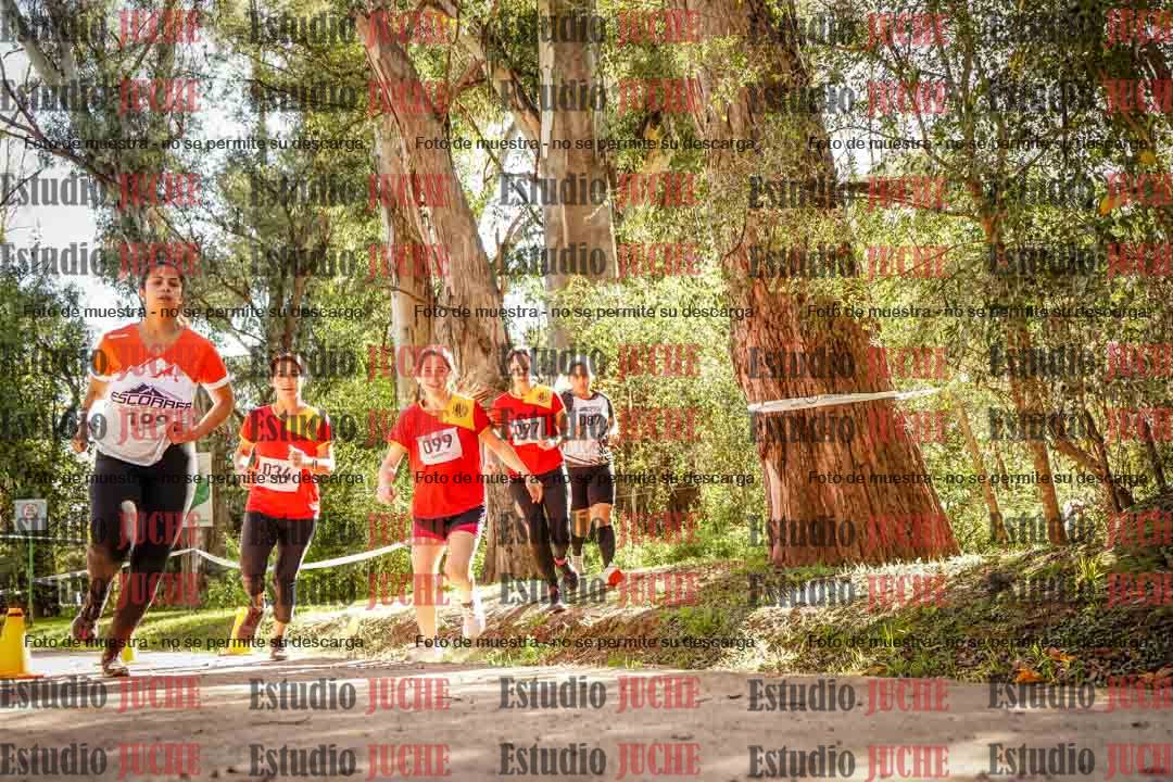 Fotos en el primer punto del circuito