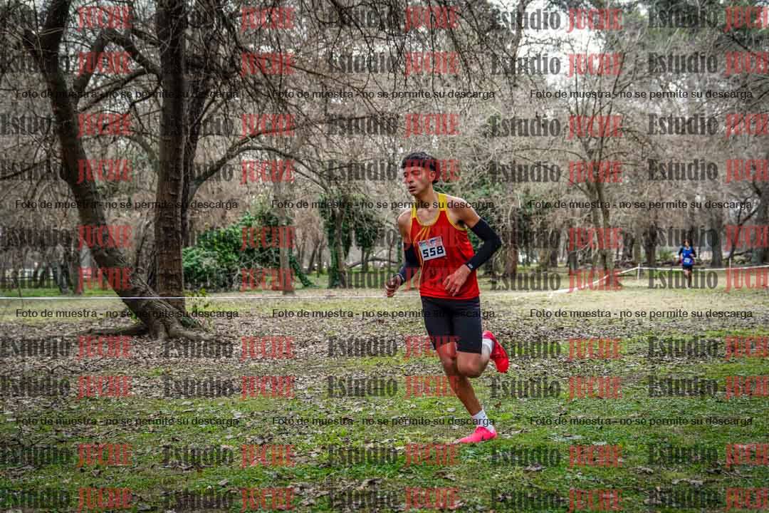 Fotos en el circuito