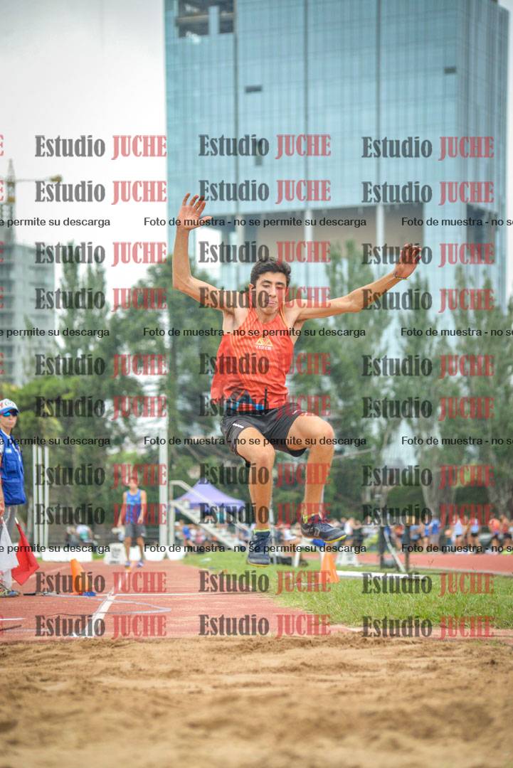 Fotos del salto triple - tabla de 8 y 10