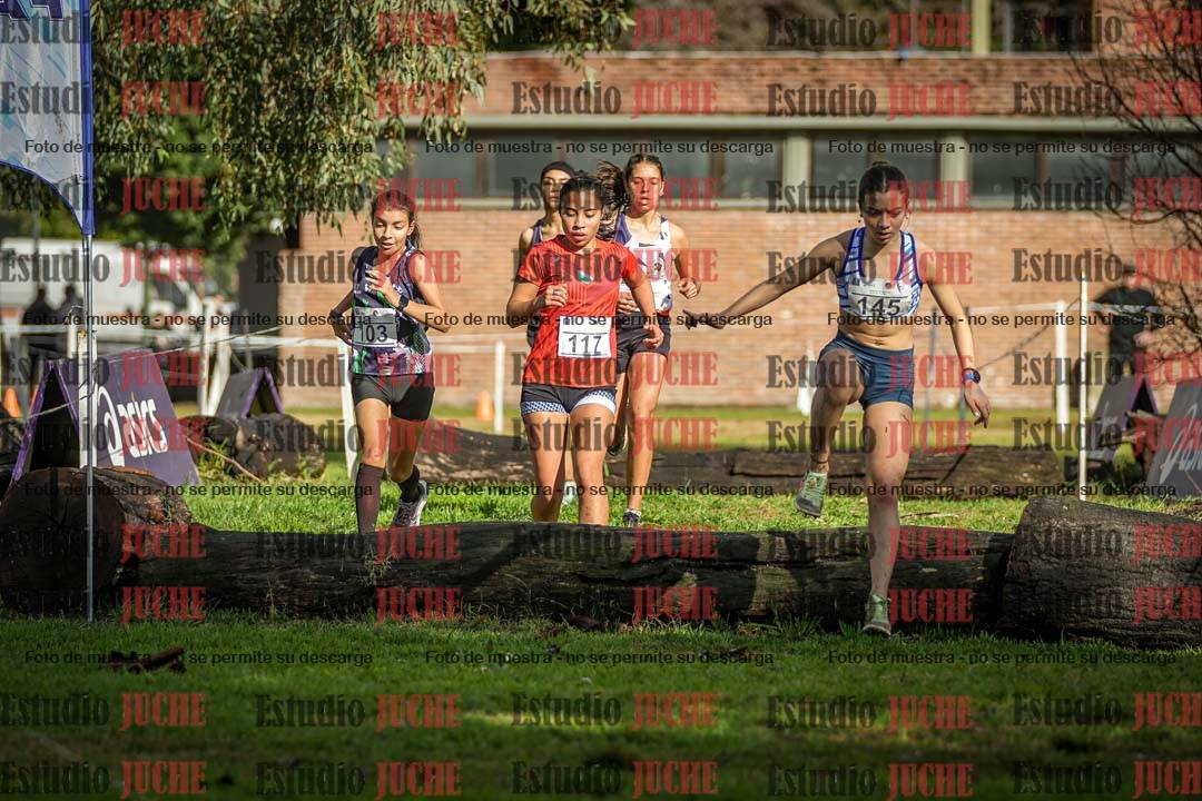 Fotos en el circuito