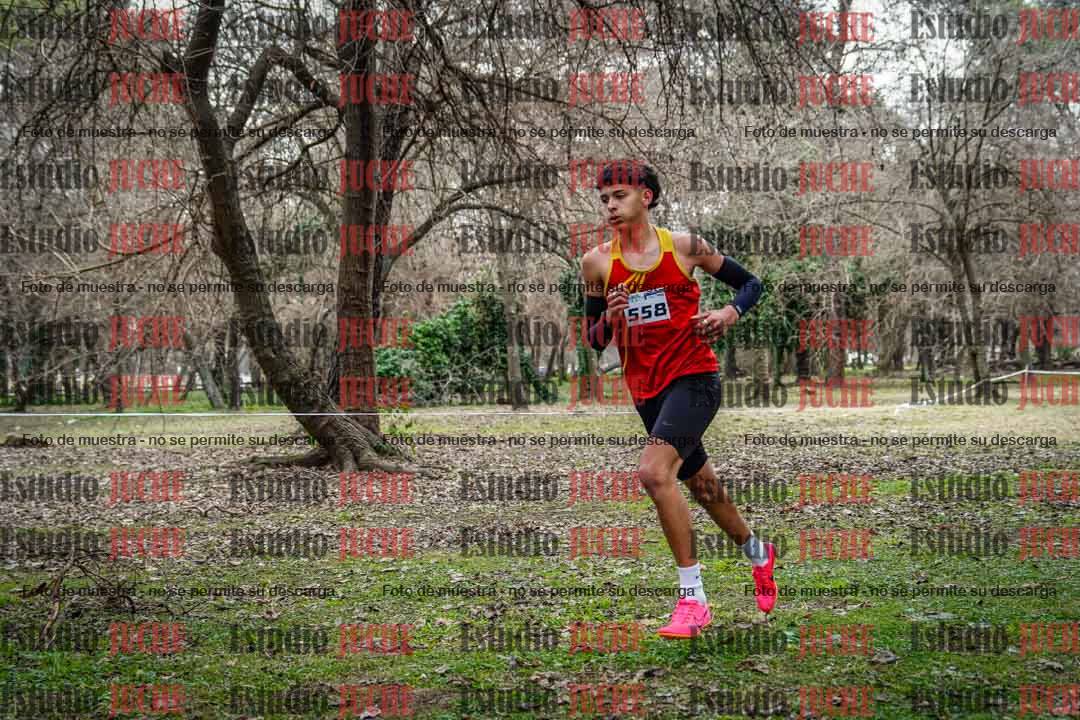 Fotos en el circuito