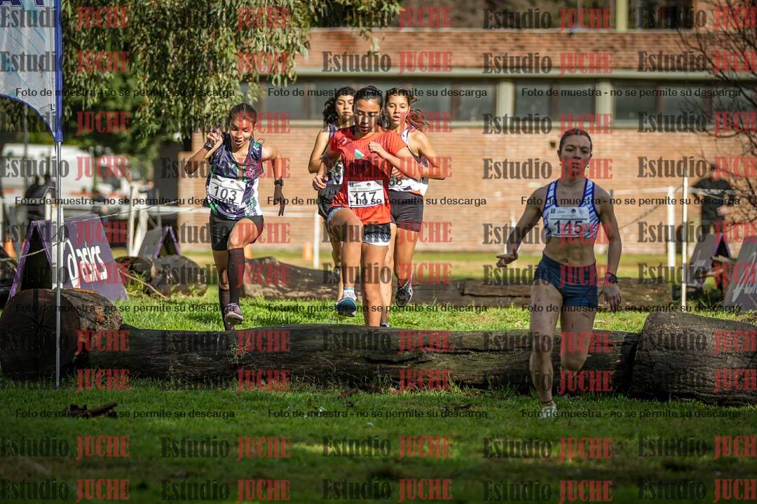 Fotos en el circuito