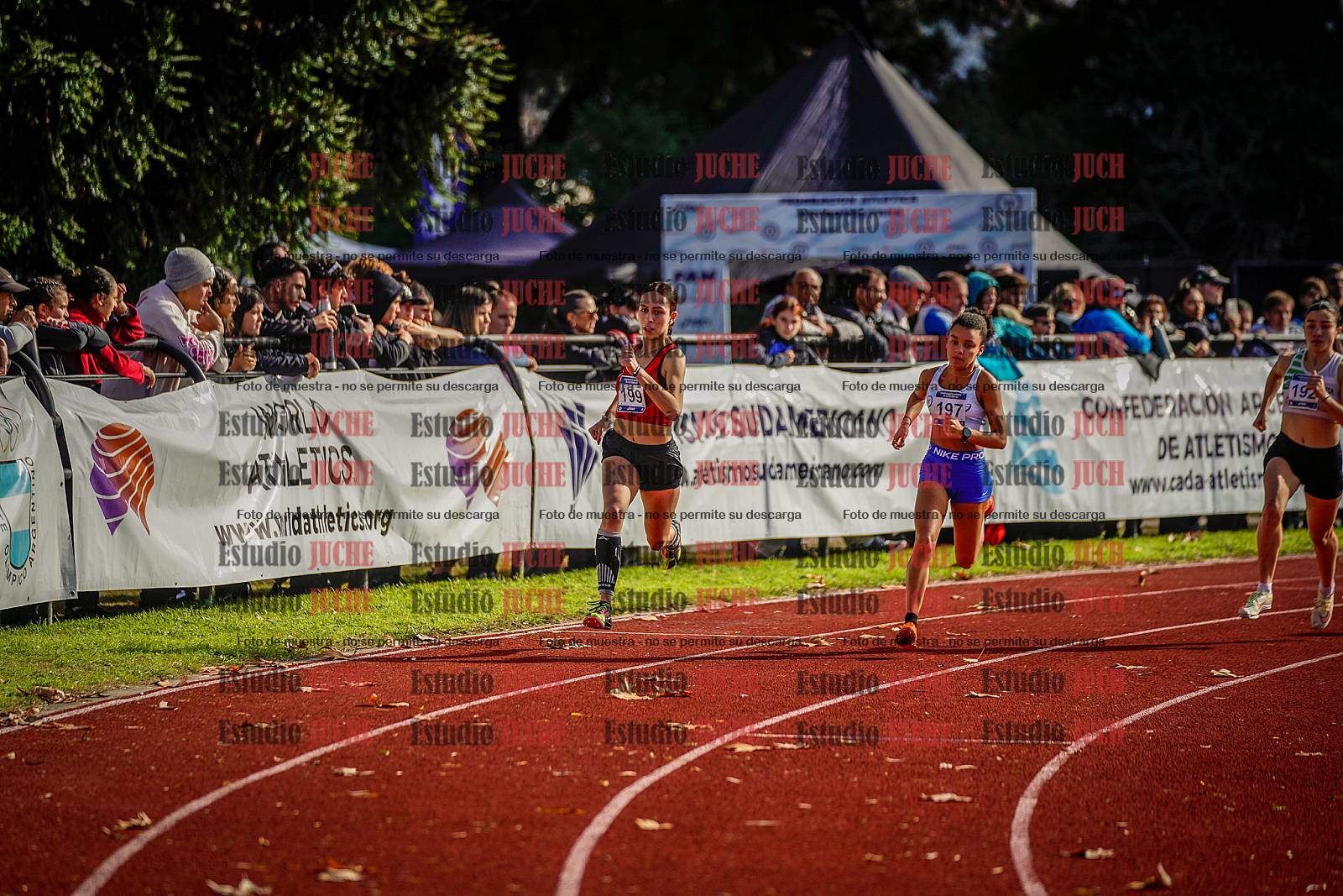 Fotos de los 800 m de mujeres