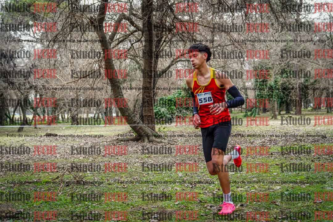 Fotos en el circuito