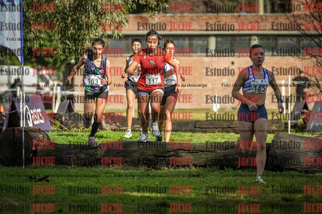 Fotos en el circuito