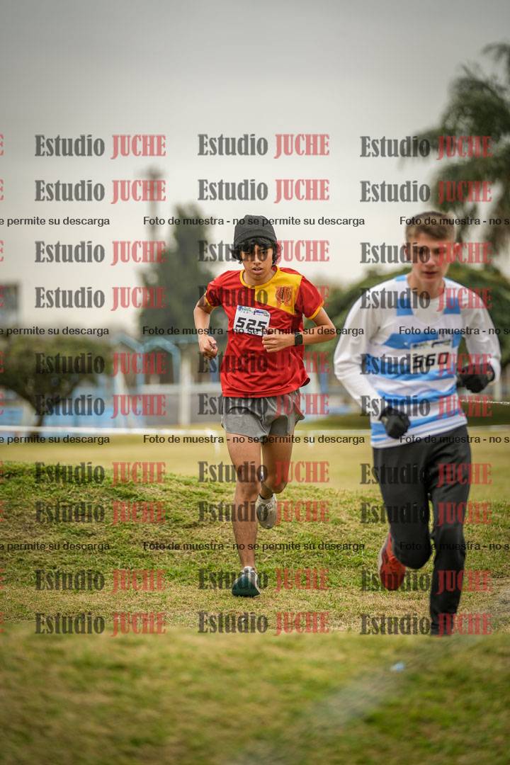 Fotos en el circuito