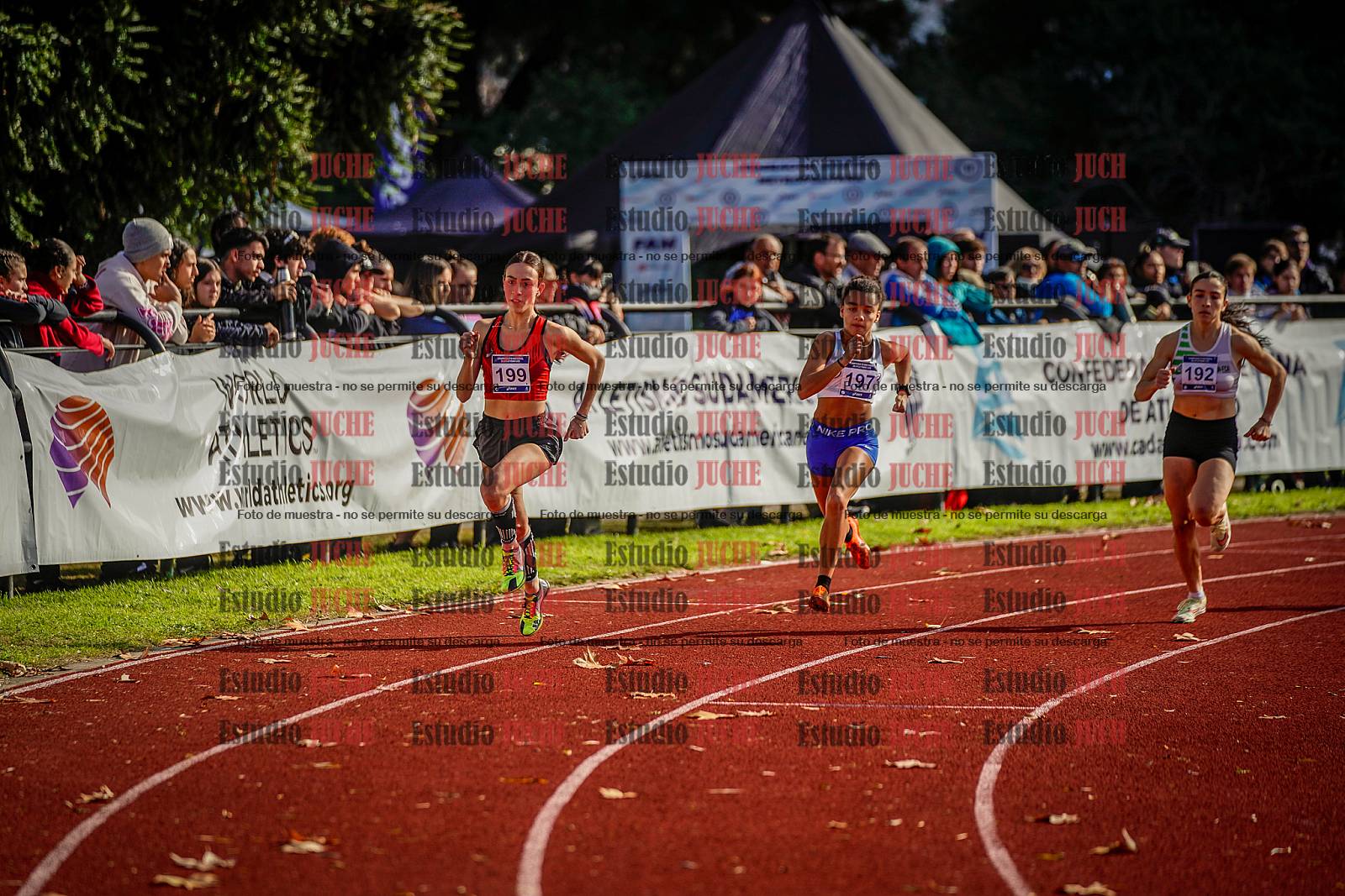 Fotos de los 800 m de mujeres