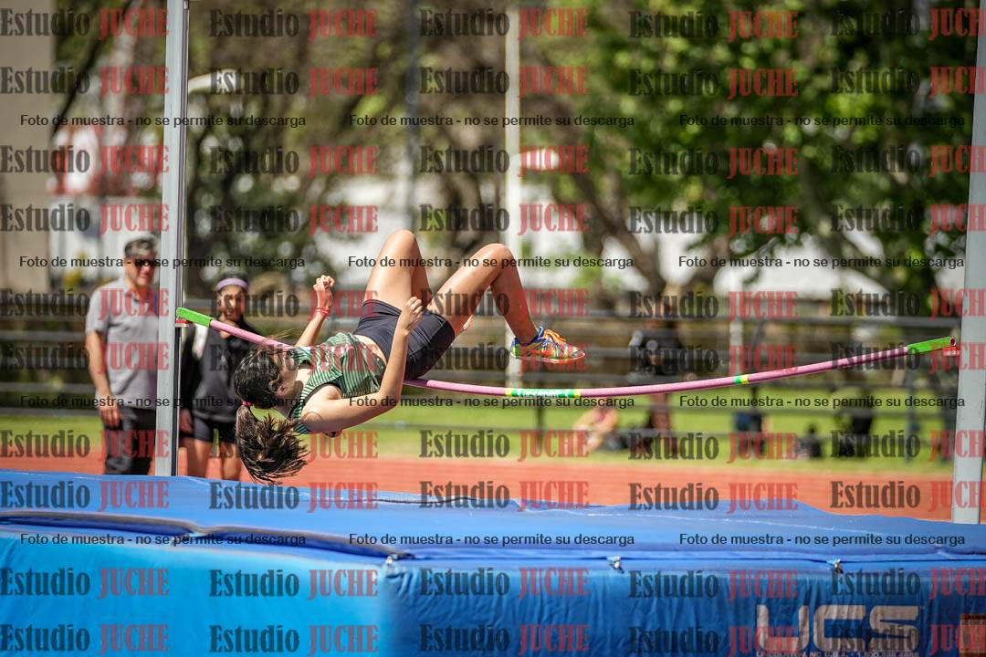 Fotos del salto en alto de mujeres - (incluye hexatlón)
