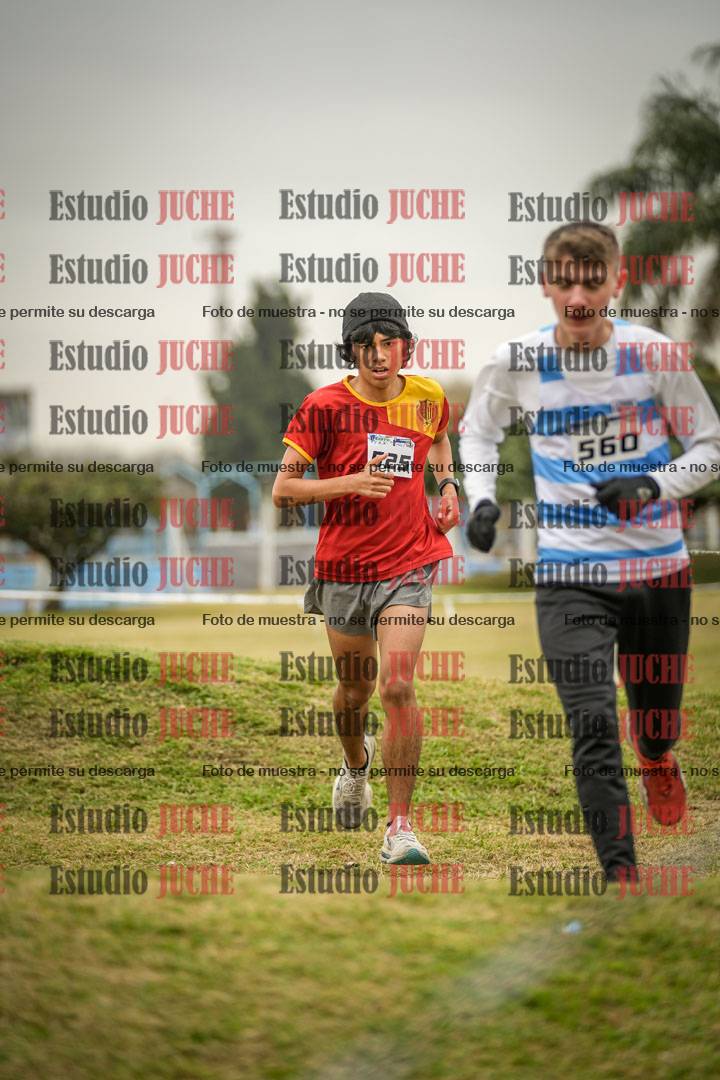 Fotos en el circuito