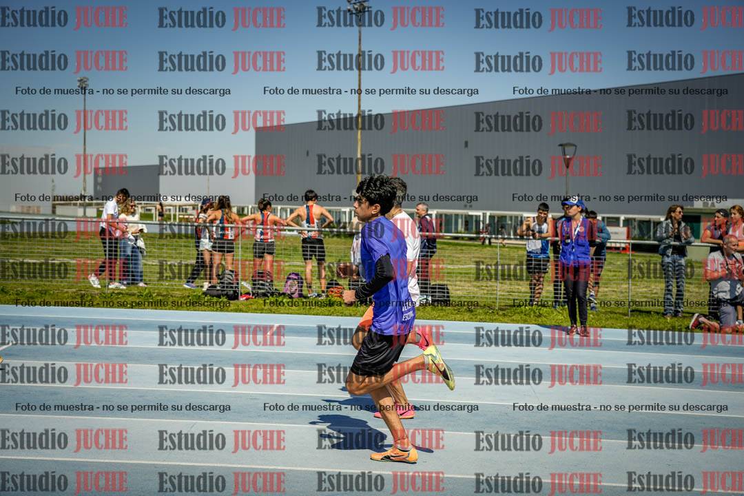 Fotos de los 800 m llanos de varones