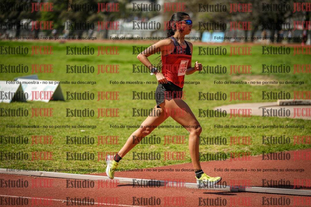 Fotos de los 1500 m llanos de mujeres