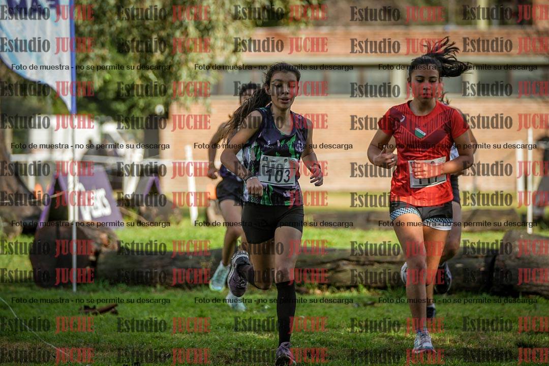Fotos en el circuito
