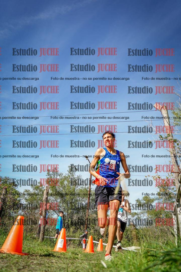 Fotos en el circuito