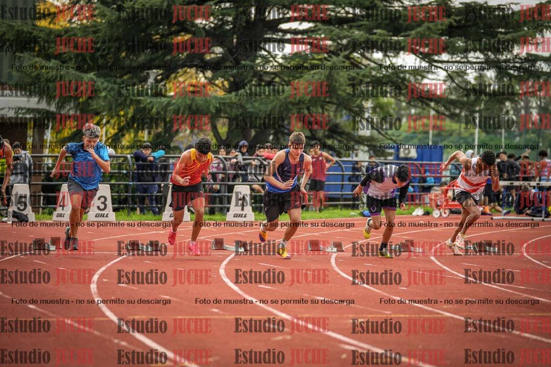 Fotos de los 100 m llanos de varones