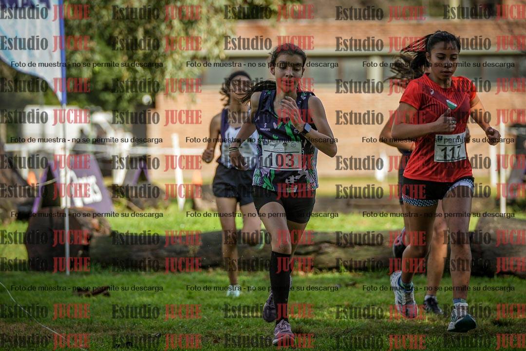 Fotos en el circuito