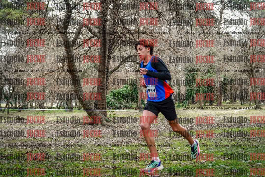 Fotos en el circuito