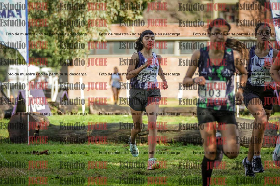 Fotos en el circuito