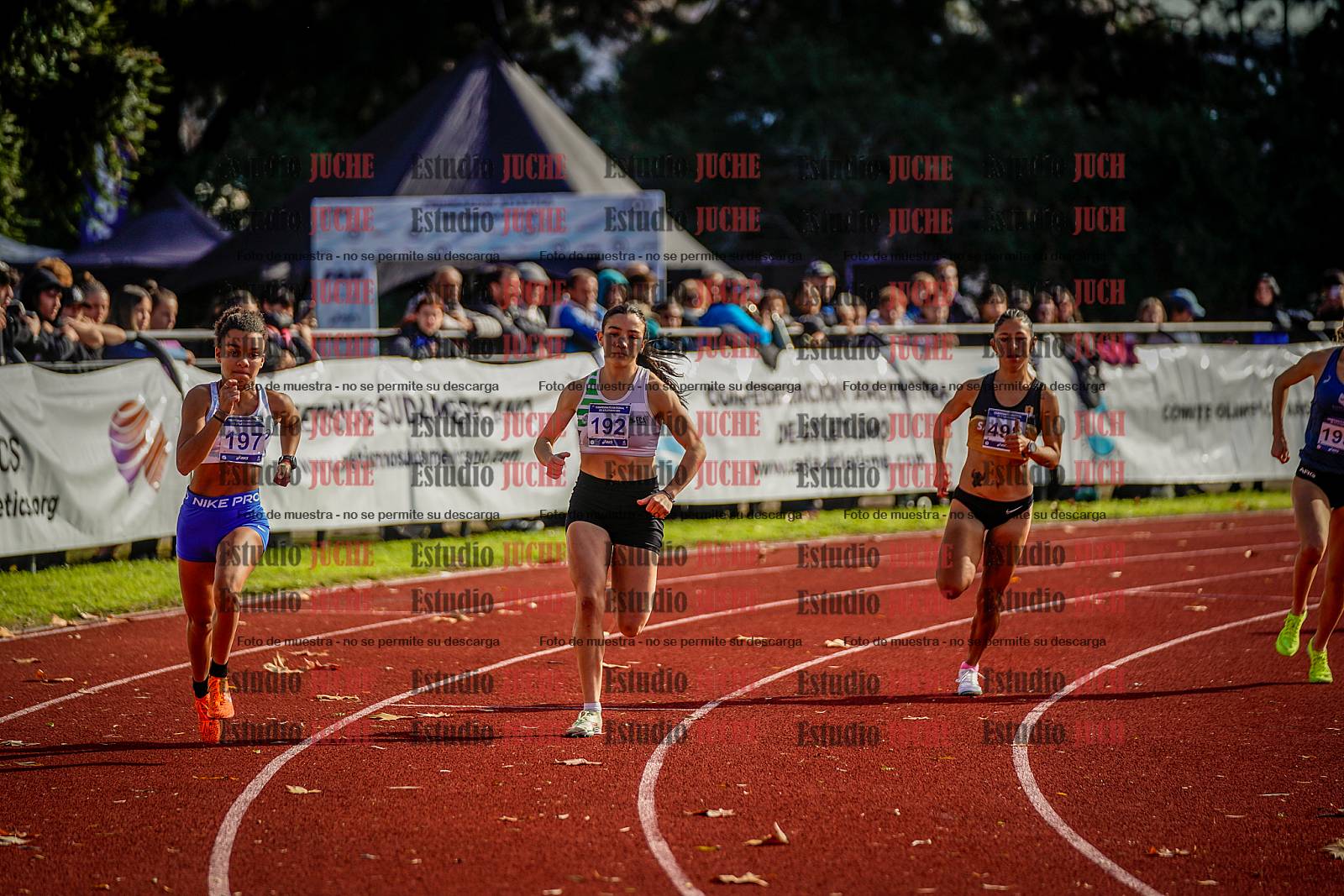 Fotos de los 800 m de mujeres