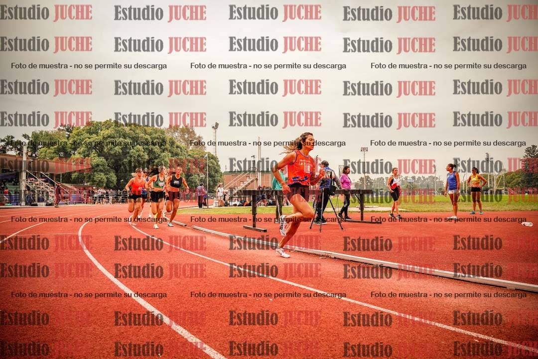 Fotos de los 800 m llanos de mujeres