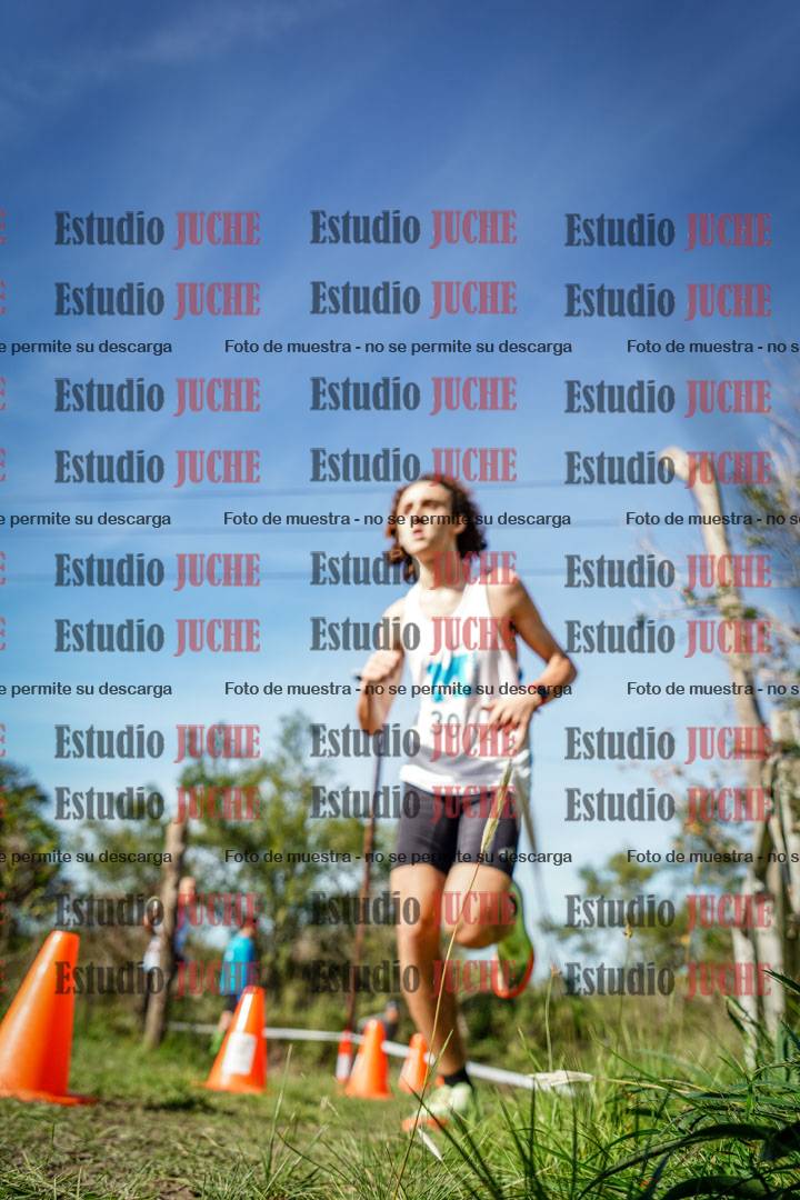 Fotos en el circuito