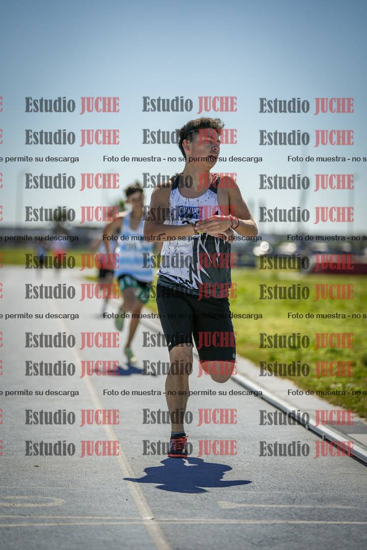 Fotos de los 800 m llanos de varones