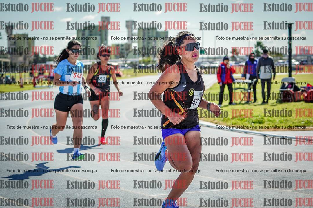 Fotos de los 800 m llanos de mujeres