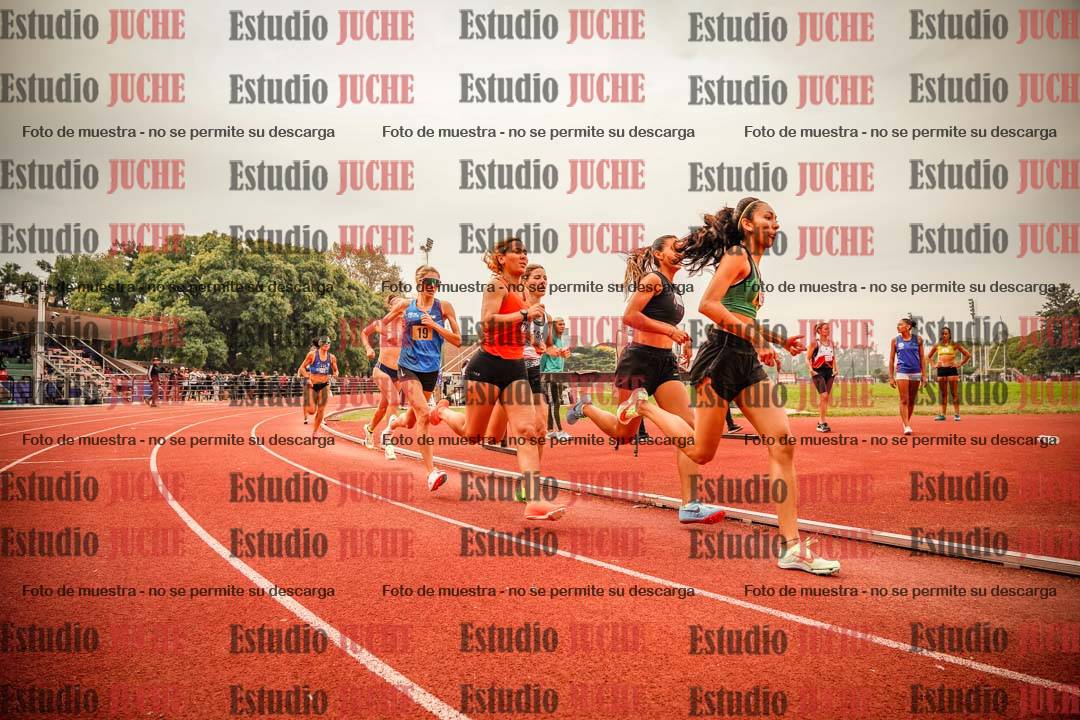 Fotos de los 800 m llanos de mujeres