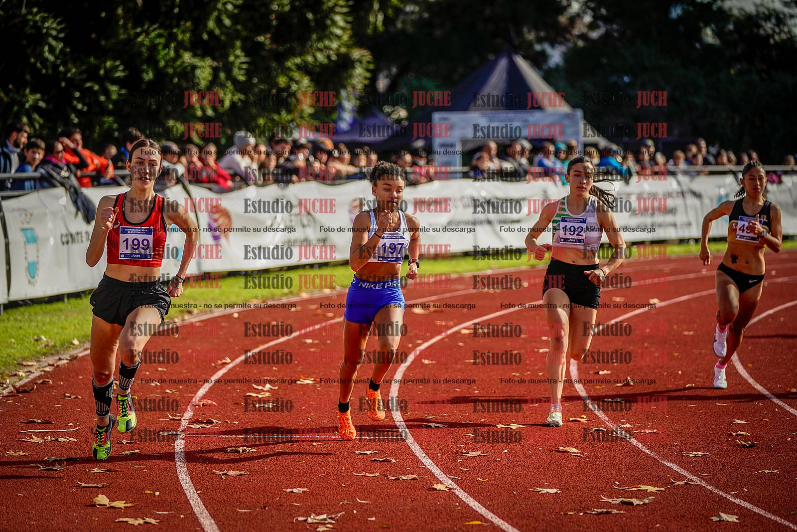 Fotos de los 800 m de mujeres