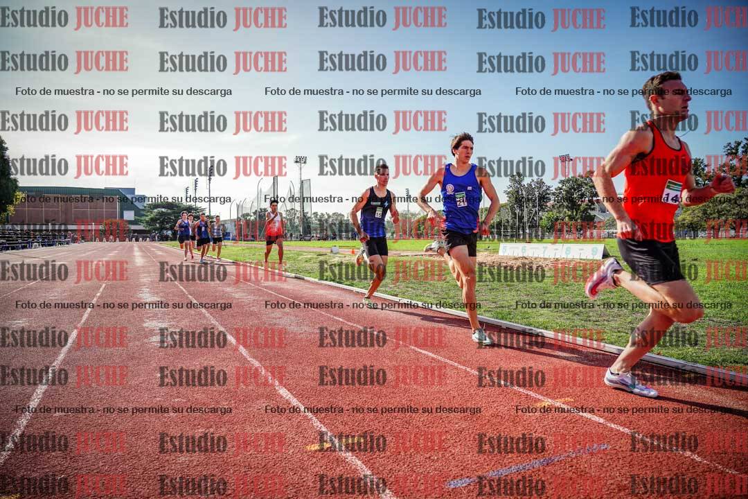 Fotos de los 800 m llanos de varones