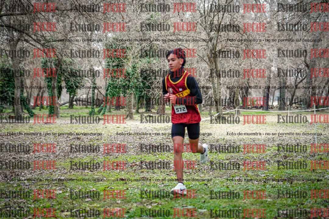 Fotos en el circuito